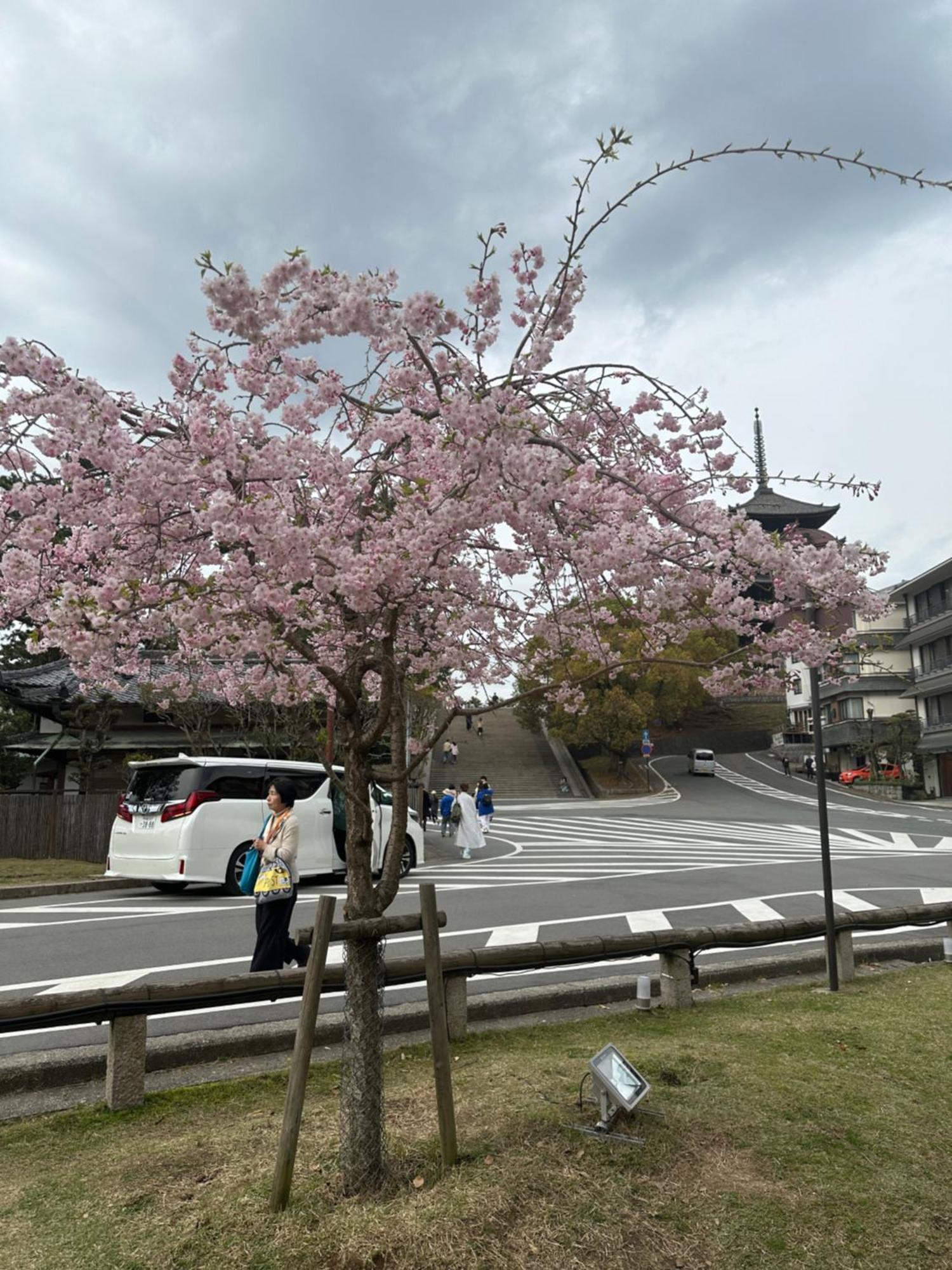 Ryokan Kousen Kazeya Group Nara Exterior foto